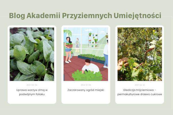 strona główna bloga projekt