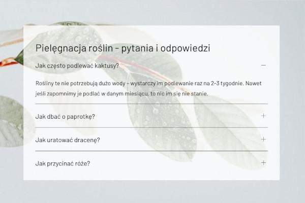 akordeon kreator stron www