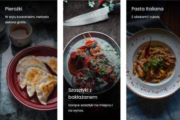 kreator stron www portfolio