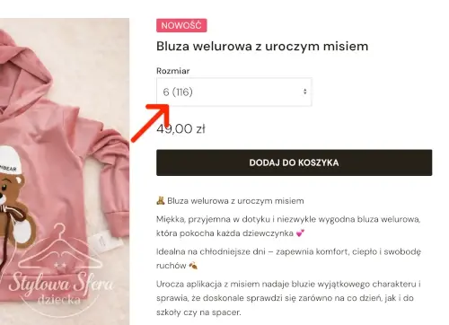 prezentacja wariantów na stronie