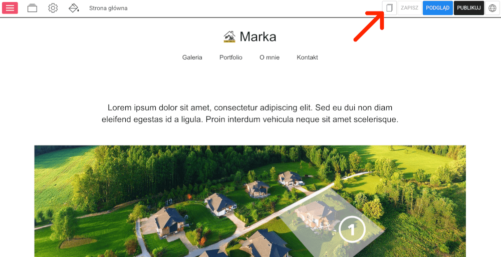 przycisk kopiuj witrynę