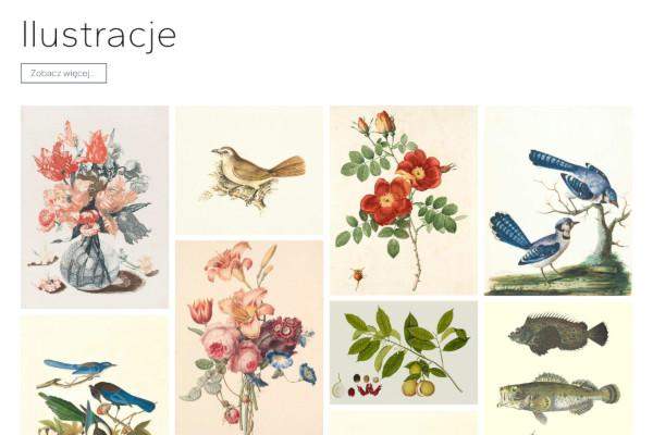 wlasne strony i sekcje