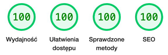 wyniki google lighthouse